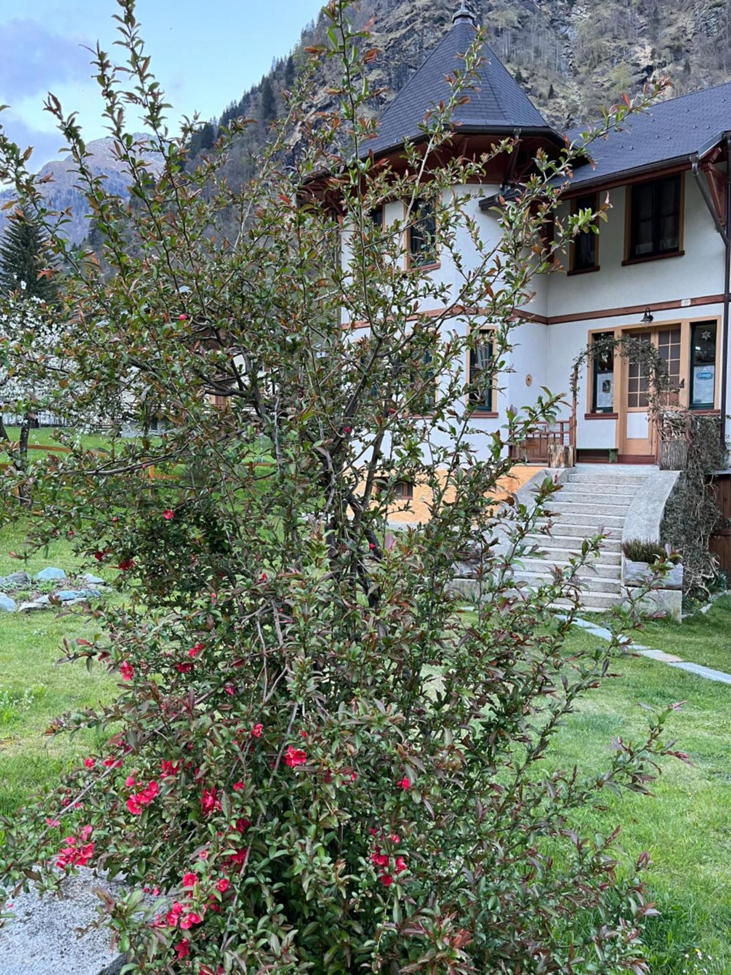 Bed and Breakfast L'aria di Casa Alagna Valsesia Esterno foto